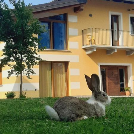 דרונרו Agriturismo Fior Di Campo מראה חיצוני תמונה