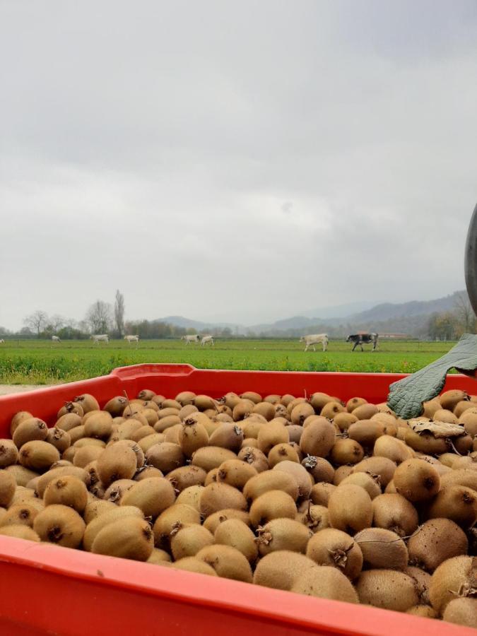 דרונרו Agriturismo Fior Di Campo מראה חיצוני תמונה