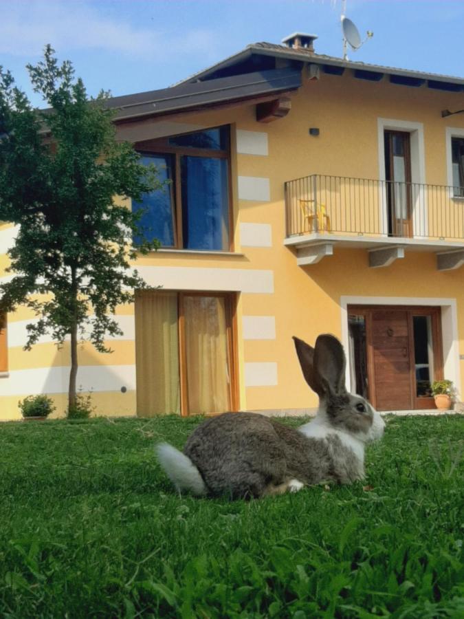 דרונרו Agriturismo Fior Di Campo מראה חיצוני תמונה