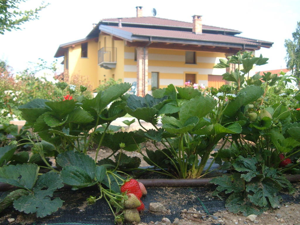 דרונרו Agriturismo Fior Di Campo מראה חיצוני תמונה